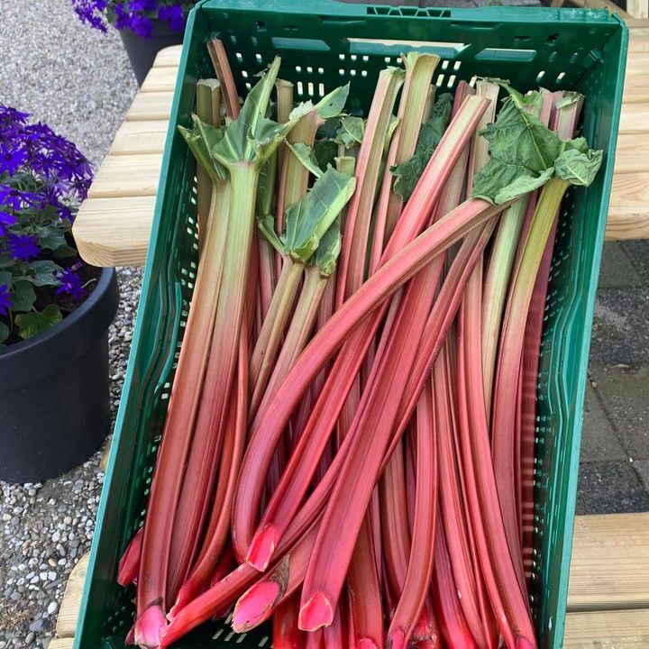 Vers van onze groente en fruit specialist!!!! 🤩🤩 Knapperige appels , sappige sinaasappels, heerlijke asperges, hagelwitte bloemkolen, geurige gember, rozerode rabarber, blozende tomaatjes en uiteraard krachtige  aardappelen! Graag tot ziens bij De Landkruidenier