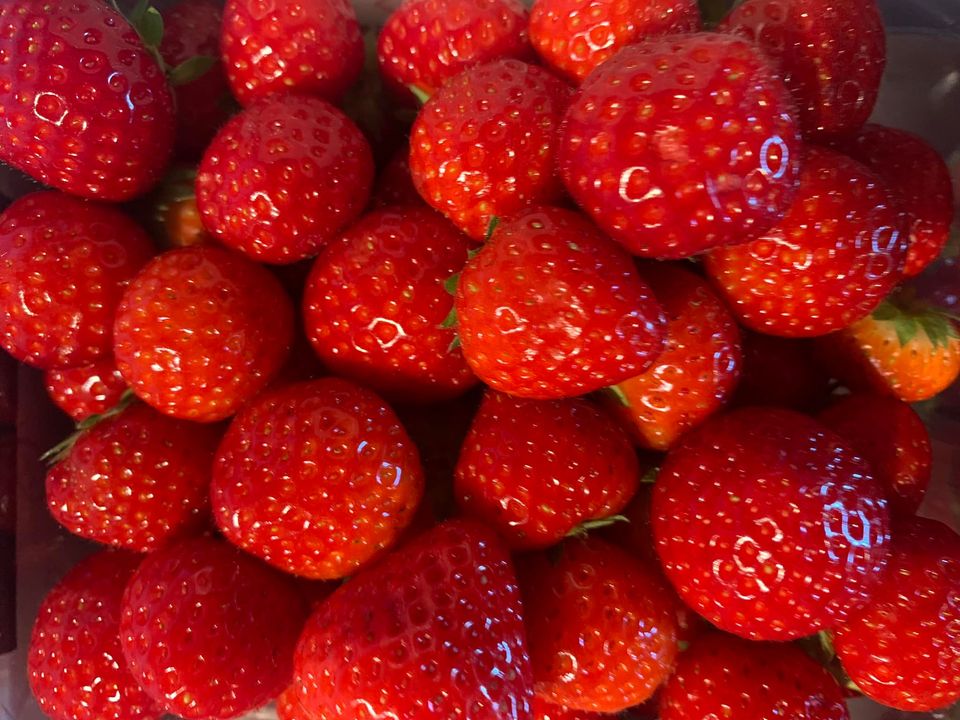 Nieuw in ons groente en fruit assortiment , nét binnen gekregen…Blozende abrikozen, malse kropsla, heerlijke honing meloen, frisse komkommers, sappige sinaasappels, zalige Zespri kiwi’s, Maribelle appels, dé allerlekkerste aardbeien 🍓, hagelwitte bloemkolen, geurige gember 🫚, zonnige tomaten, en de nieuwe oogst Frieslander!!!