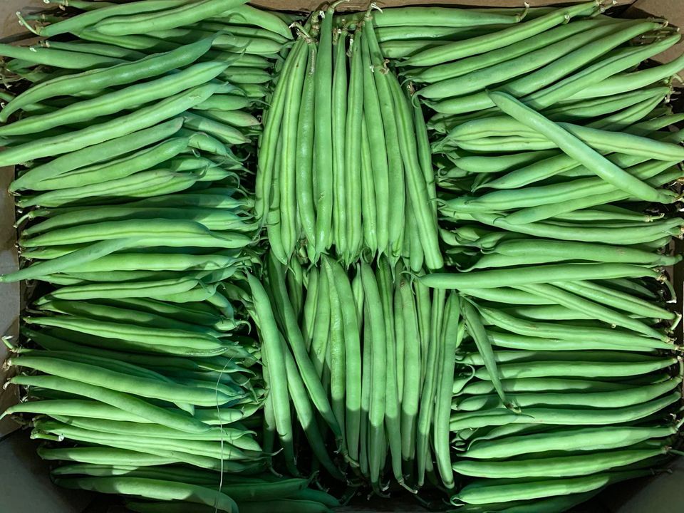 Wat een super kwaliteit, zó blij mee 🙏! Waanzinnig mooie en verse producten geleverd door onze groente en fruit leverancier.Morgen vanaf 9 uur bent u van harte welkom bij De Landkruidenier.