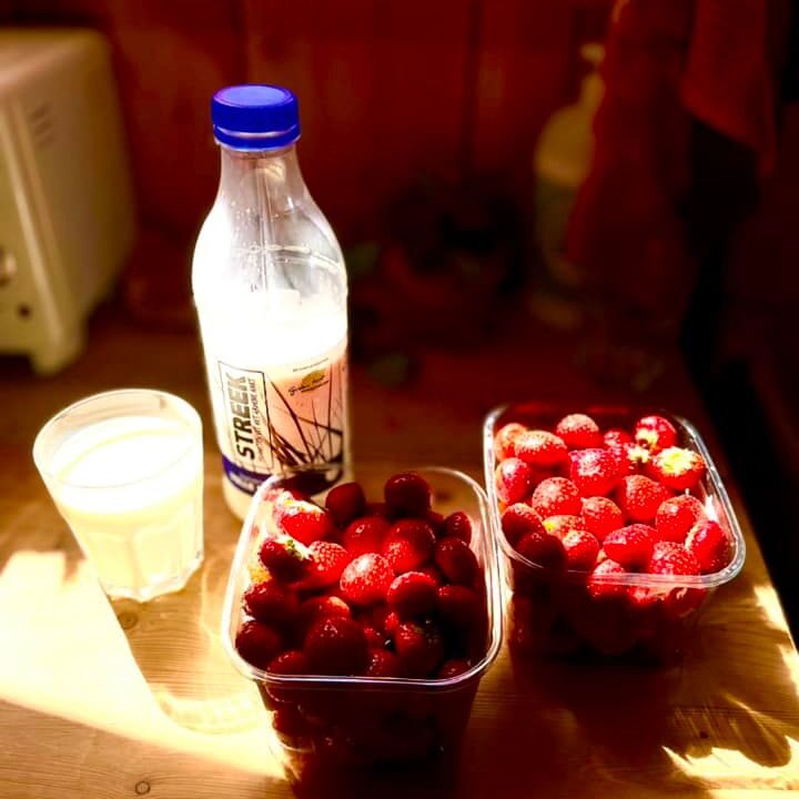Heerlijke aardbeien milkshake maken?Bij ons de lekkerste Aardbeien en zuivel!Aardbeien 1kilo voor 6€!!
