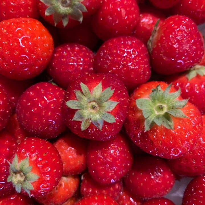 AARDBEIEN 🍓🍓🍓 Vers geleverd door onze fruit en groente specialist !Geniet van de zoete smaak van onze overheerlijke aardbeien 🍓 .Kom langs bij de Landkruidenier Zevenhoven en ontdek de verrukkelijke smaak van lokaal geteelde aardbeien. Boordevol smaak en sappigheid, ze zijn perfect voor desserts, smoothies of gewoon om zo te snacken. Haal vandaag nog jouw verse dosis vitamine C en zomerse smaken! #Aardbeien #ZomerseGenoegens #LokaleSmaak