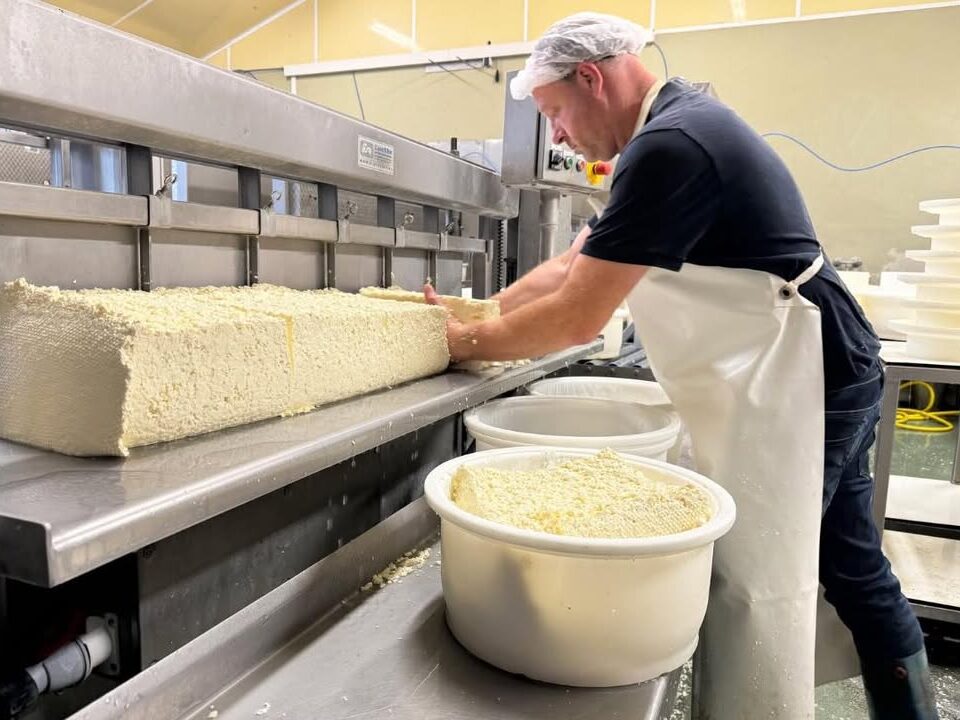 Oktober = Boerenkaasmaand! 🧀🧡Het is weer die tijd van het jaar: Boerenkaasmaand! En wat is er nu beter dan genieten van een lekker stukje kaas, rechtstreeks van de boerderij? 🧑‍🌾🐄In oktober staan we stil bij de pure smaak en vakmanschap die in elke boerenkaas zit. Onze boerenkaas wordt met liefde en zorg geproduceerd, zonder onnodige toevoegingen. Gewoon natuur, zoals het hoort! 🌱Waarom boerenkaas zo bijzonder is:✔️ Vol van smaak door het traditionele, ambachtelijke bereidingsproces✔️ Lokaal en duurzaam geproduceerd✔️ Perfect voor op je boterham, in een salade, of om te smelten op je favoriete gerecht 🥪🍲✔️ Keuze uit een variëteit van rijpingsgraden: van jong en mild tot pittig en oud! 🧀🍂 Tip van de maand: Combineer je boerenkaas met seizoensgebonden groenten zoals spruiten, pompoen of appel voor een unieke en eigenwijze touch!Proef en ontdek ons heerlijke assortiment van KAAS 🧀, graag tot ziens bijDe Landkruidenier  #LokaalEten #AmbachtelijkeKaas #HerfstSmaak #KaasLiefde #SteunDeBoer